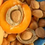 Amygdalin (Laetrile)