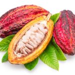 Cacao powder