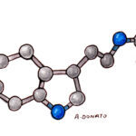 Melatonin